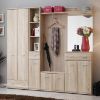 Spintelė Armadio TYPE B+C Sonoma paveikslėlis