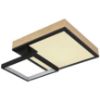 Plafond Jacky 41392-21 RGB LED PL2 paveikslėlis