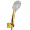 Taškinis dušas "Moza Brushed Gold paveikslėlis
