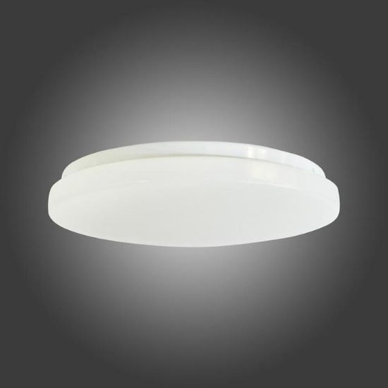LED plafonas Troy EK75312 40cm 18W paveikslėlis