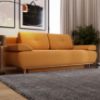 Raspberry Salvador 10 sofa paveikslėlis